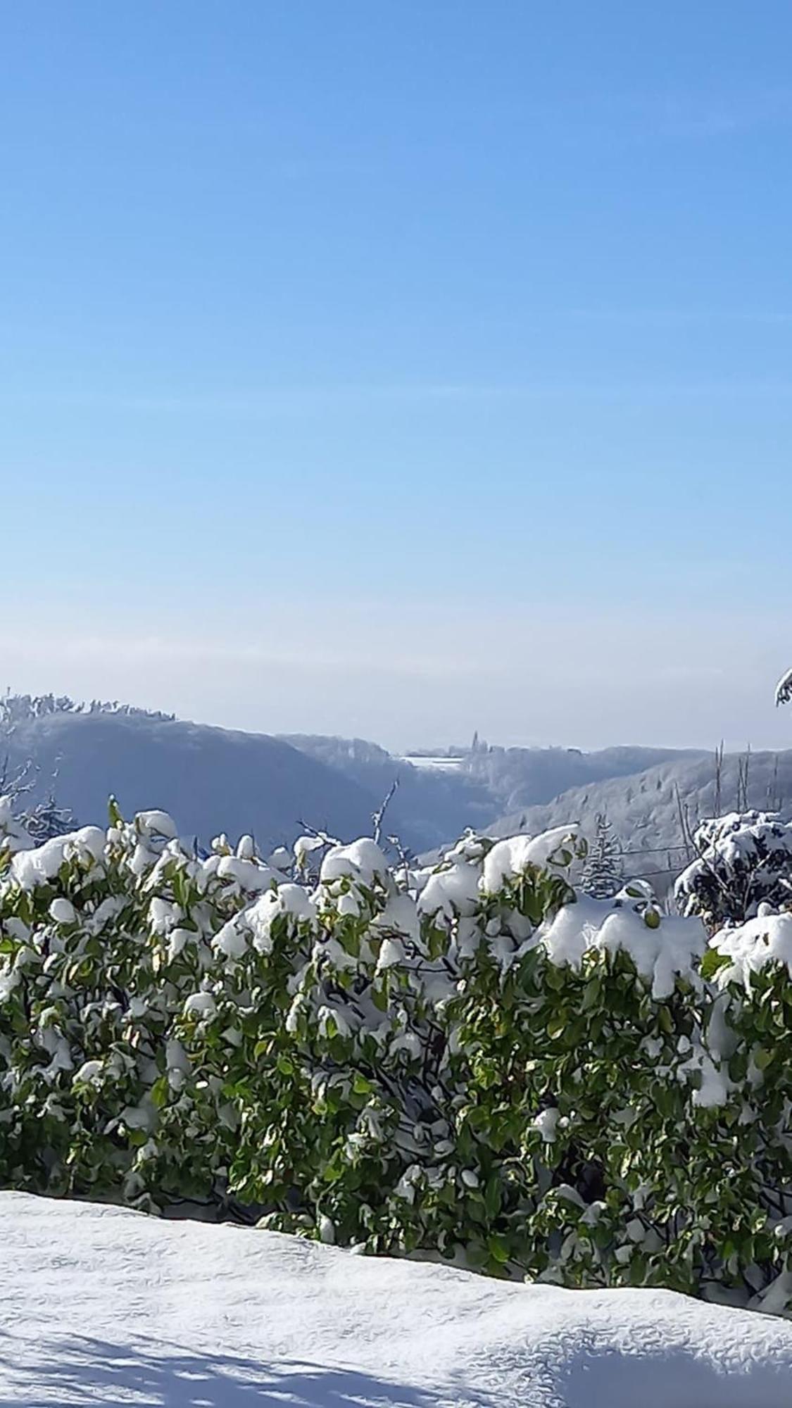 Haus Am Wald Apartment Hillscheid ภายนอก รูปภาพ