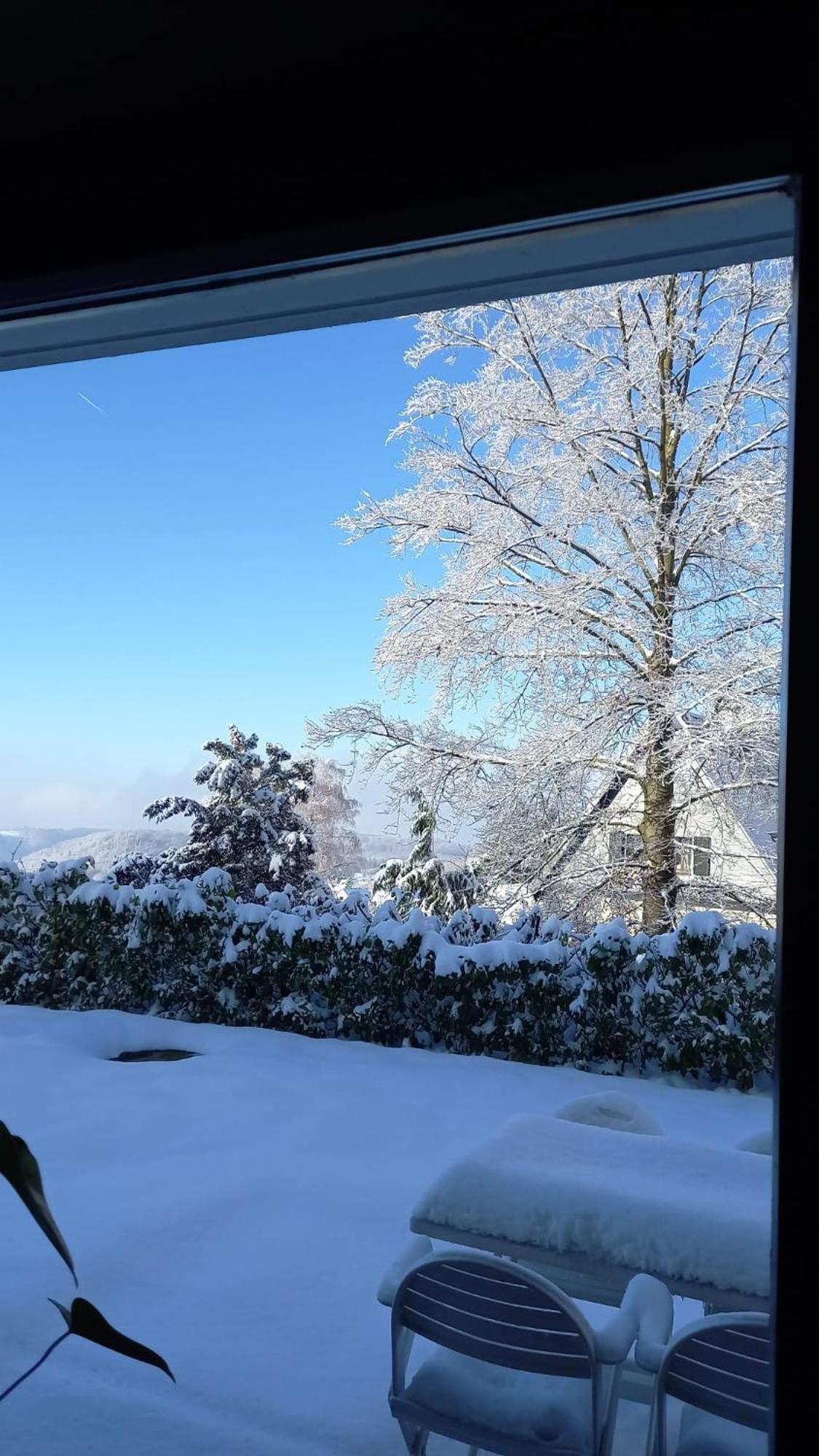 Haus Am Wald Apartment Hillscheid ภายนอก รูปภาพ