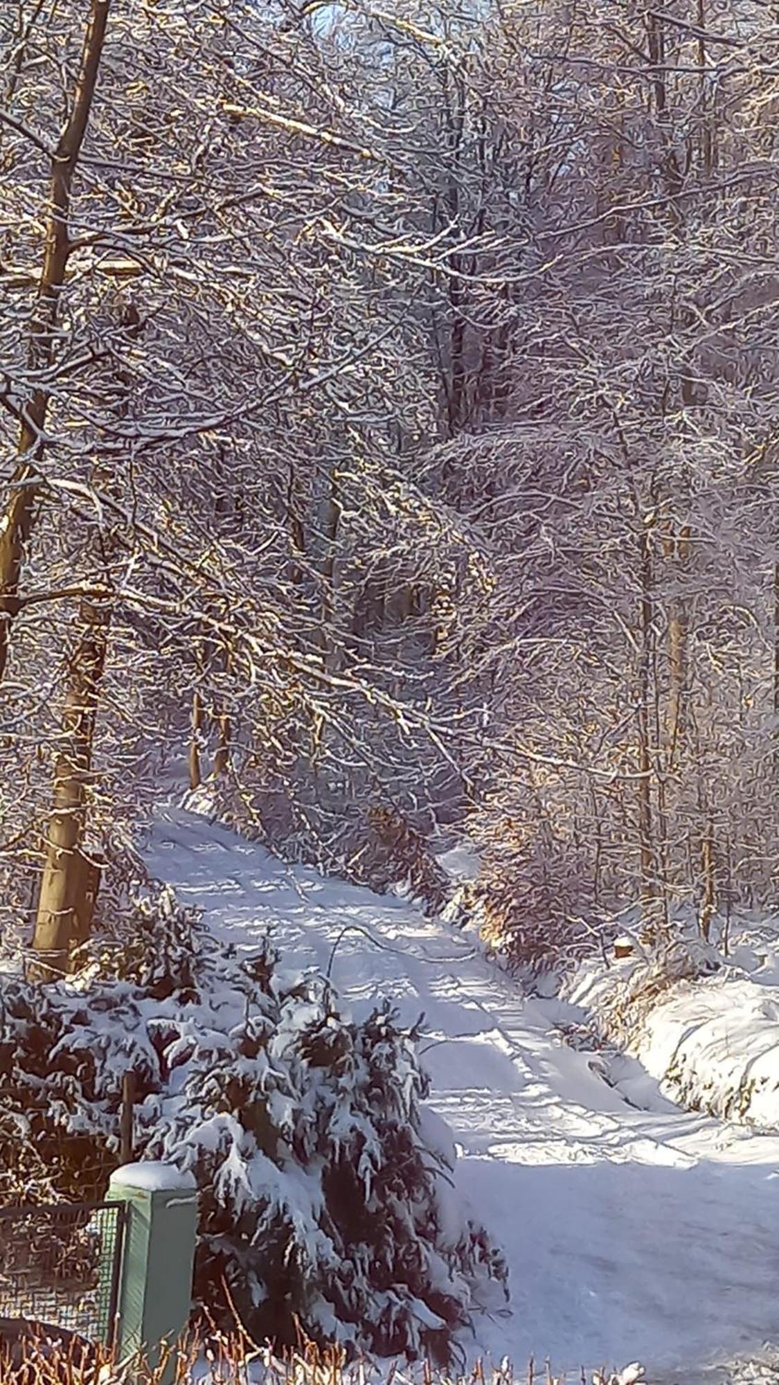 Haus Am Wald Apartment Hillscheid ภายนอก รูปภาพ
