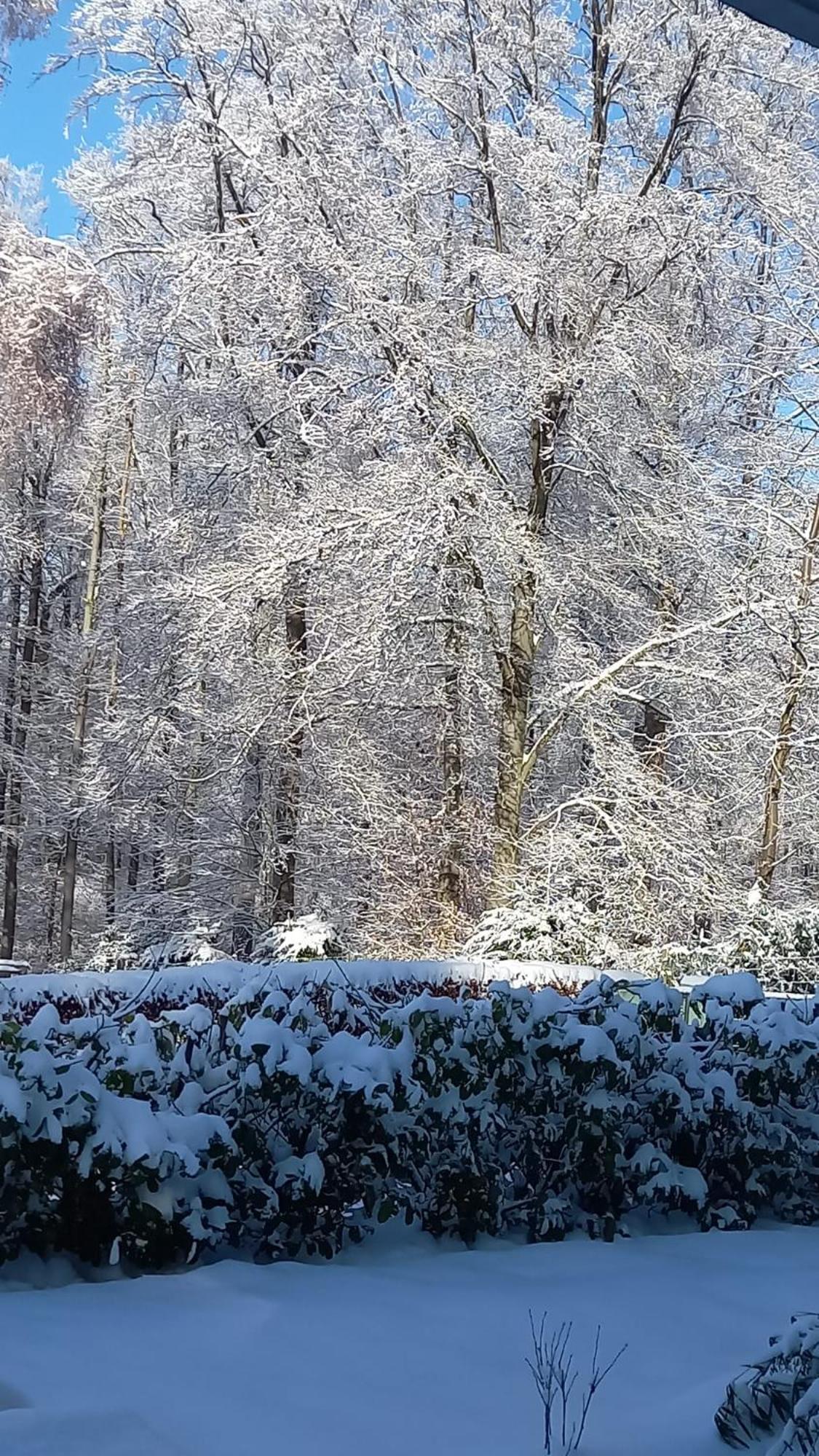 Haus Am Wald Apartment Hillscheid ภายนอก รูปภาพ