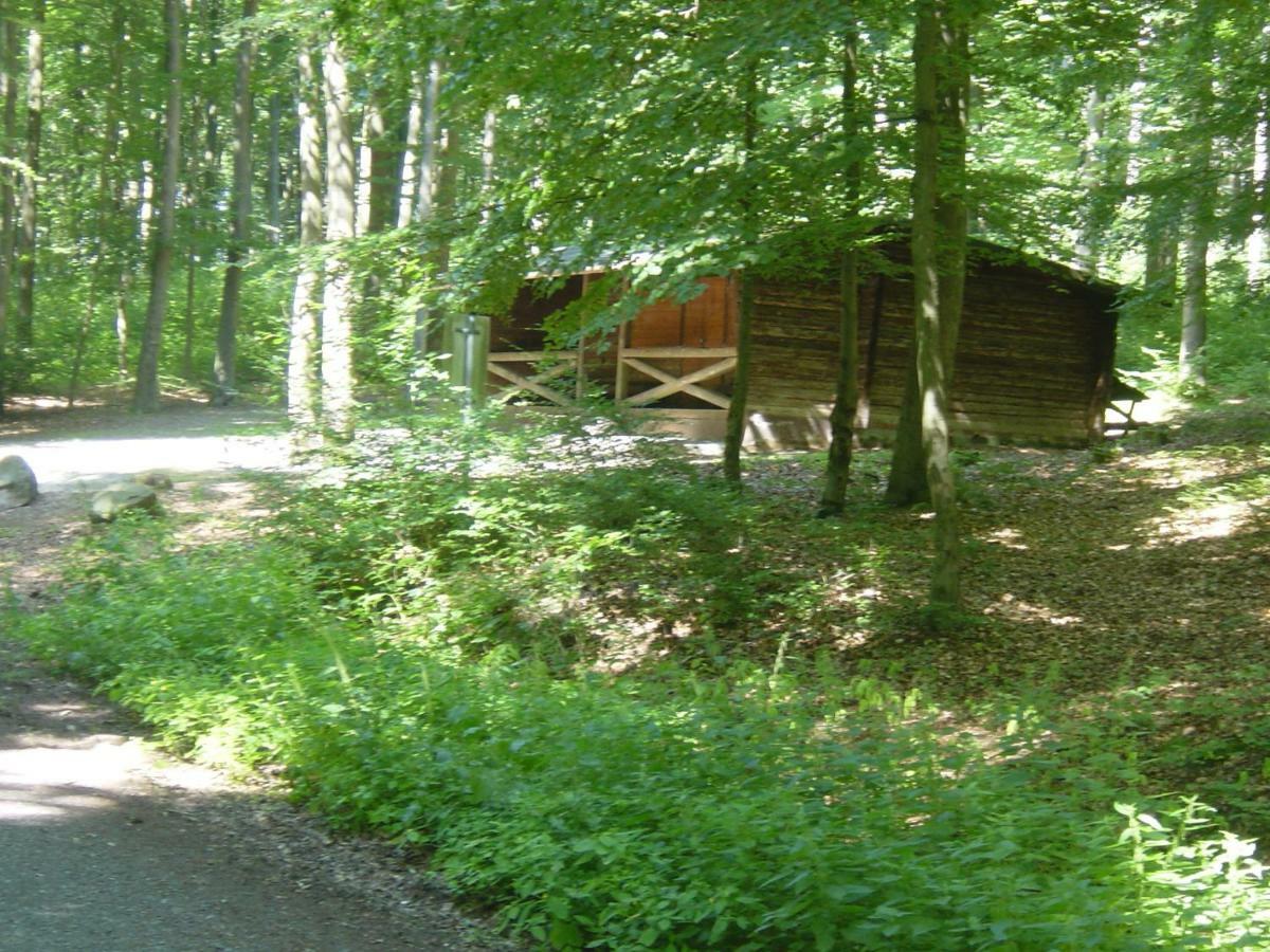 Haus Am Wald Apartment Hillscheid ภายนอก รูปภาพ